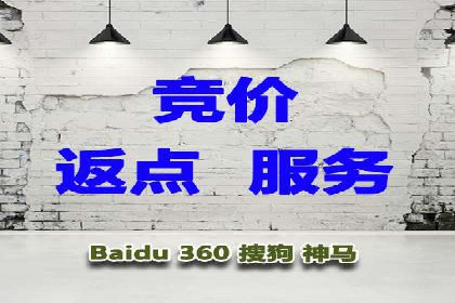 竞价推广成功案例：网络营销启示录
