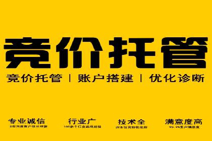竞价账户优化与维护，代运营公司的专业能力展示